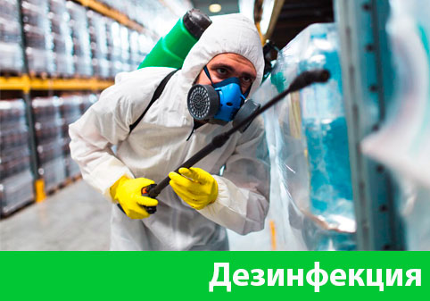 Дезинфекция в городе Брянск