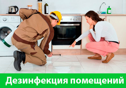 Дезинфекция офисов от коронавируса в городе Брянск