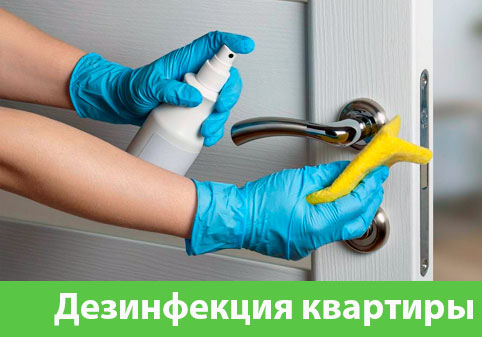 Дезинфекция квартиры в городе Брянск