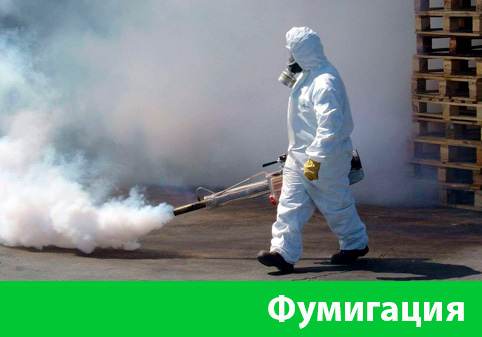 Фумигация в городе Брянск
