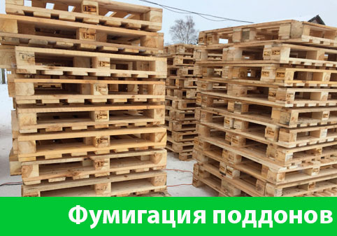 Фумигация поддонов в городе Брянск