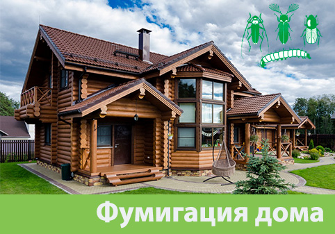 Преимущества обработки газом в городе Брянск
