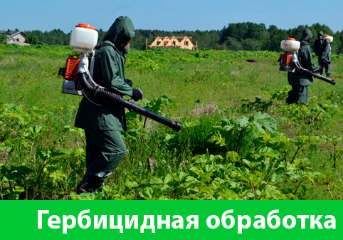 Гербицидная обработка в городе Брянск