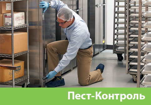 Пэст-Контроль в городе Брянск