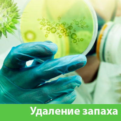 Удаление запахов в Брянске