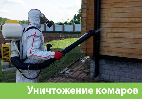 Уничтожение комаров в городе Брянск
