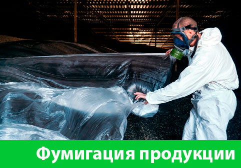 Фумигация продукции в городе Брянск